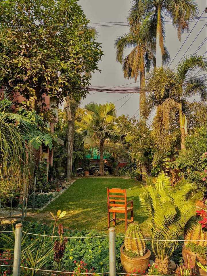 GrowPlants PK garden with cacti, palms, and potted plants in Lahore