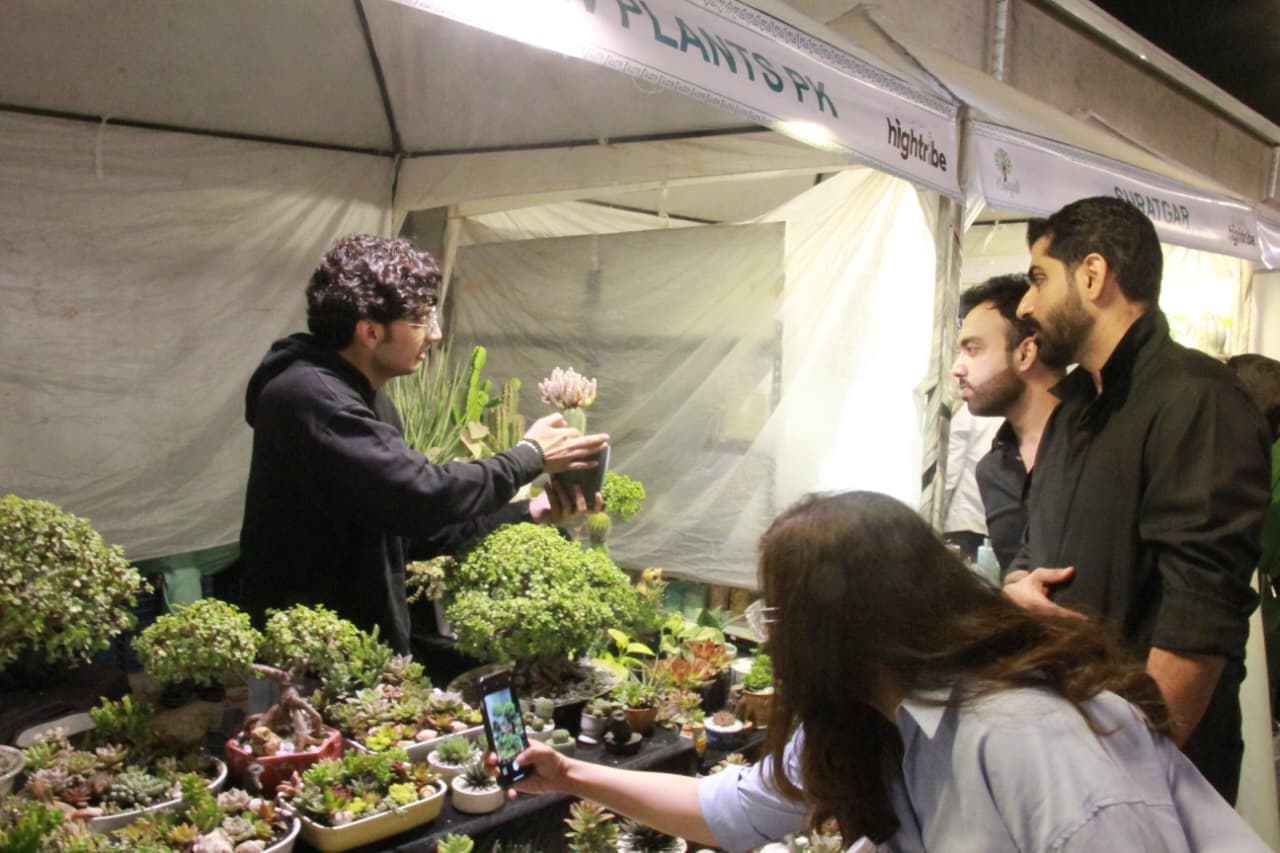 Haryali Market photo 3