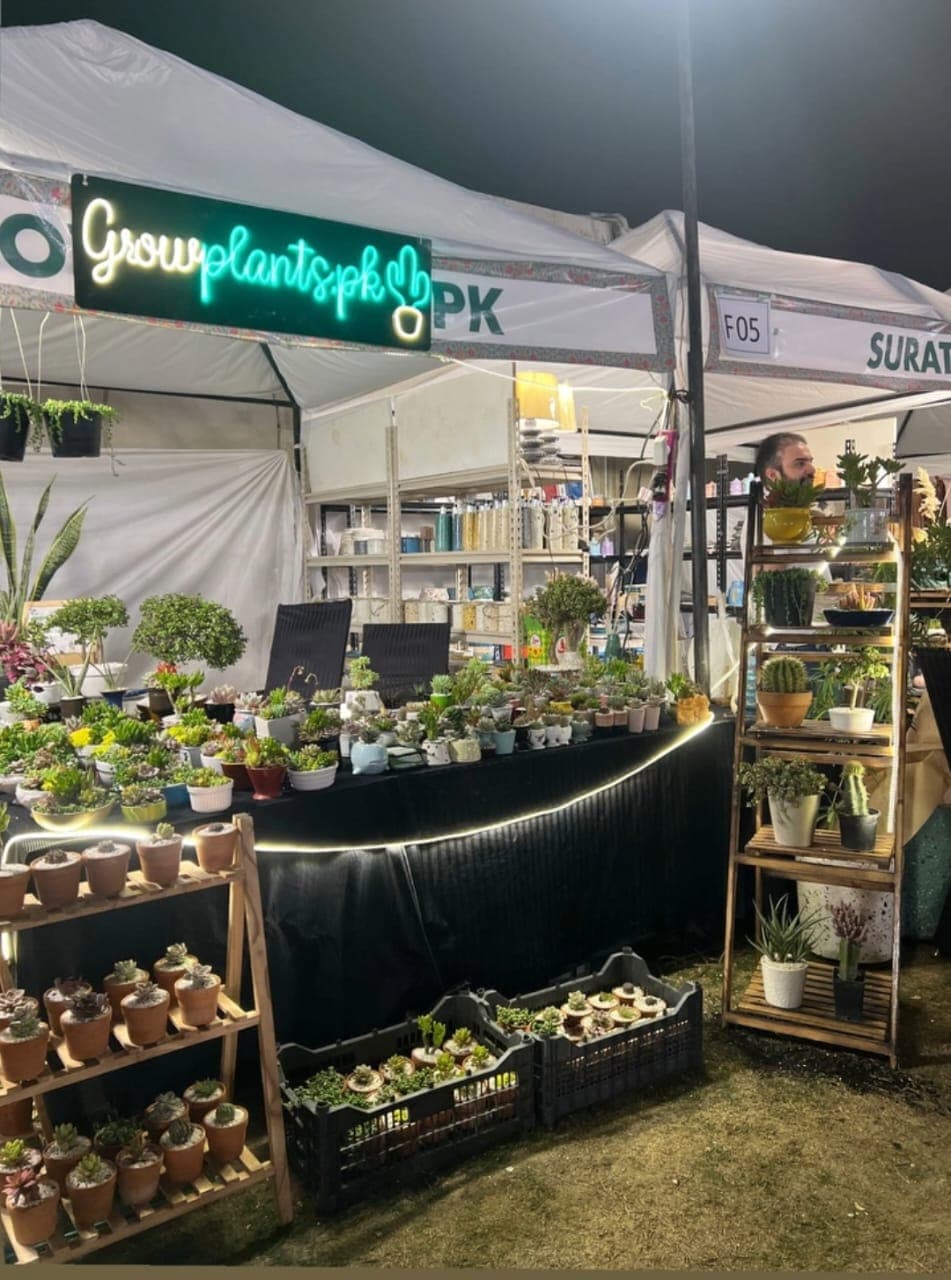 GrowPlants PK neon stall at a night market event in Lahore