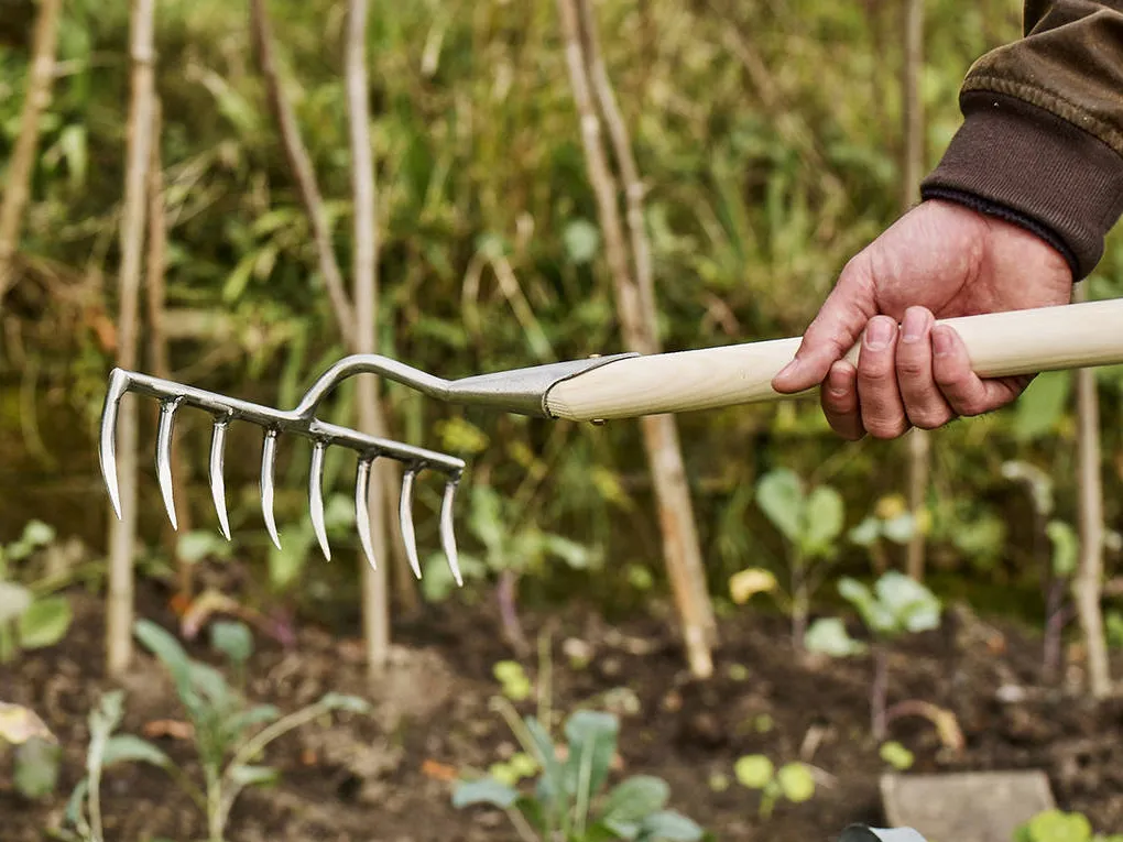 garden rake