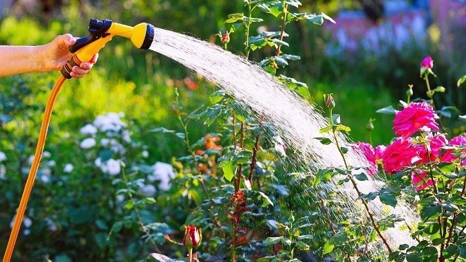hoses