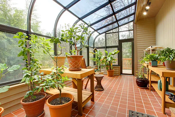 houseplants that grow in a greenhouse