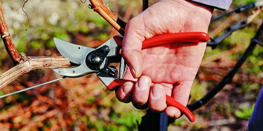 pruners