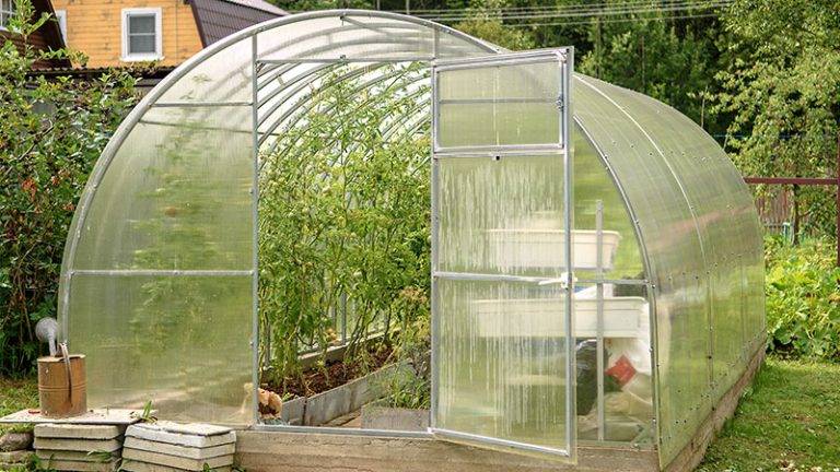 how to grow in greenhouse in winter