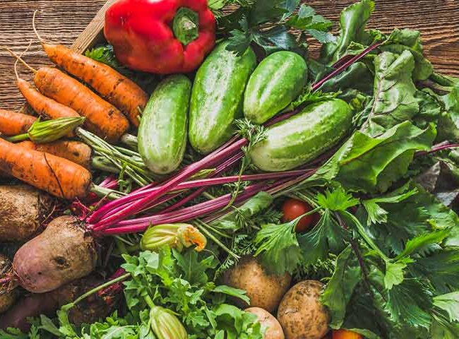 grow your own food