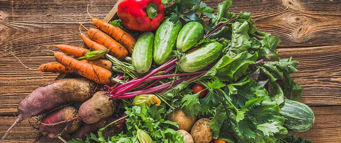 grow your own food