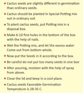 cactus mix seeds
