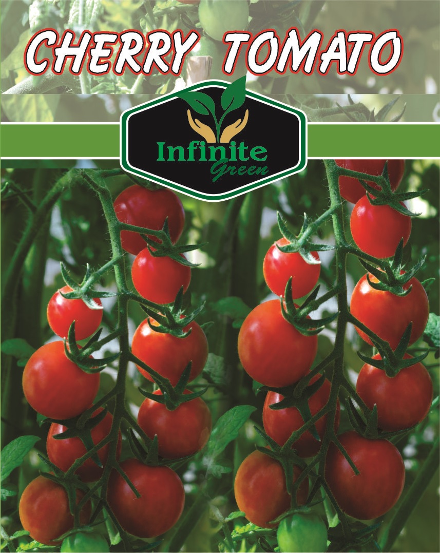 Cherry tomato Hybrid Seed - Image 5