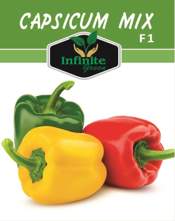 Mix Hybrid Capsicum F1 (Shimla Mirch) / Sweet Pepper Seeds 1 pack of 3 colors