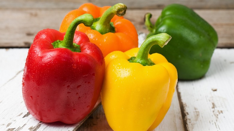 Mix Hybrid Capsicum F1 (Shimla Mirch) / Sweet Pepper Seeds 1 pack of 3 colors - Image 3