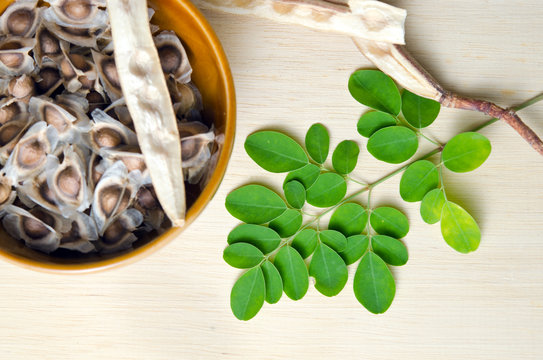 Organic Moringa Oleifera Seeds (25 Seeds) - Image 3
