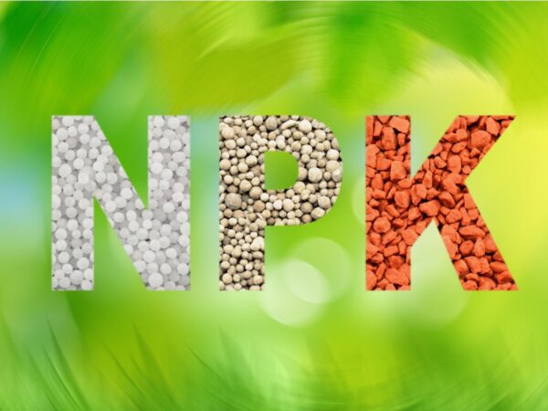 npk fertilizer (20,20,20)