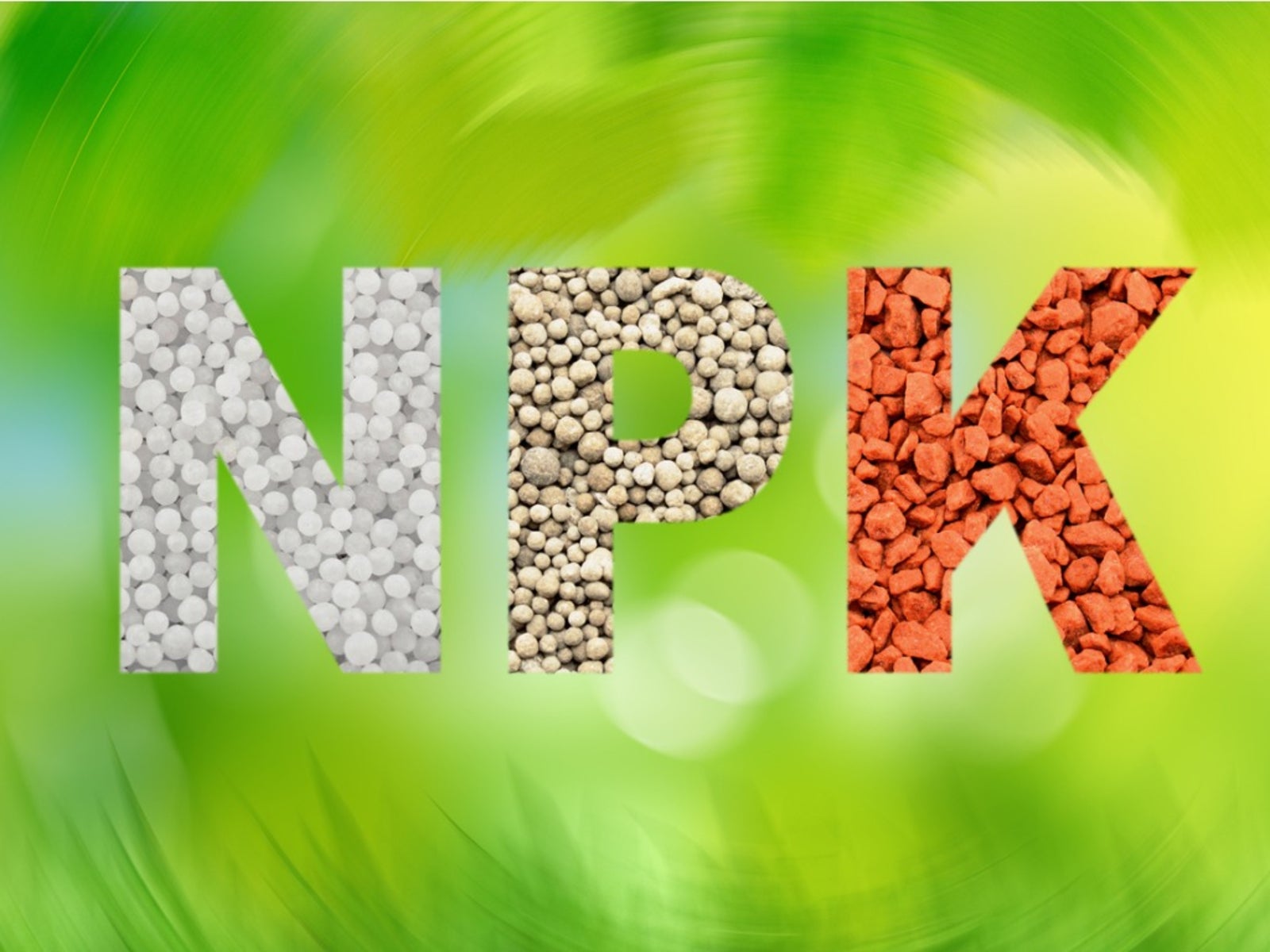 npk fertilizer (20,20,20)