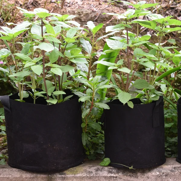 3 Gallon Grow Bags (9*9 Inches) 3 Gallon - Durable, Breathable Plant Pots for Healthy Gardening - Image 3