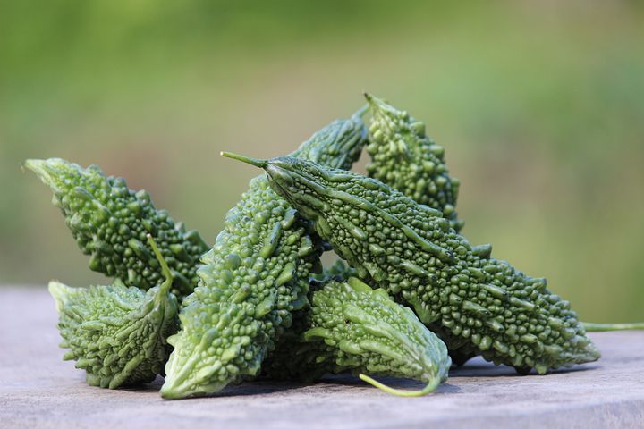 Bitter gourd (Karela) Desi summer Vegetable 10+ seeds - Image 3
