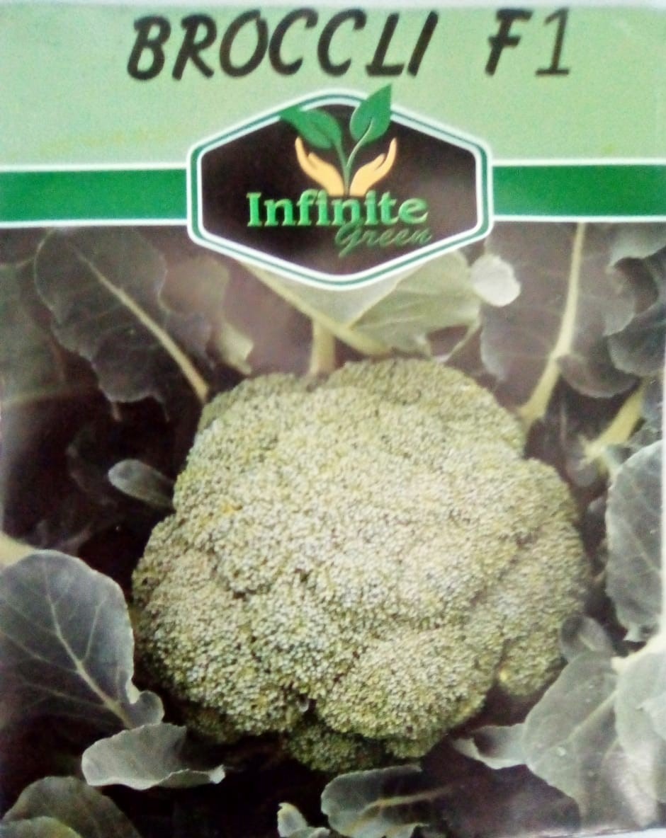 Broccoli F1 Hybrid Seeds
