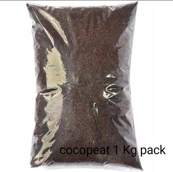 oco Peat 1kg organic growing medium for seed sowing