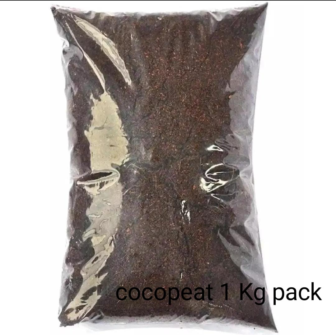 oco Peat 1kg organic growing medium for seed sowing