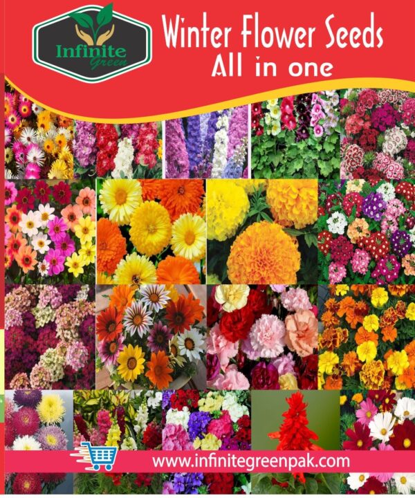 Winter Flower Seeds all in one Pack , winter flower seeds for Home Garden