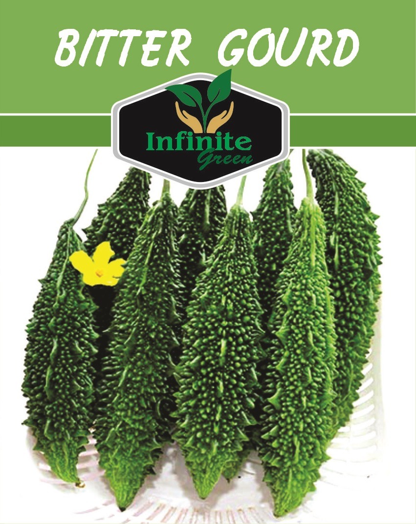 Bitter gourd (Karela) Desi summer Vegetable 10+ seeds