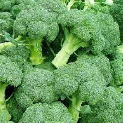 Broccoli seeds f1 hybrid vegetable seed - Image 3