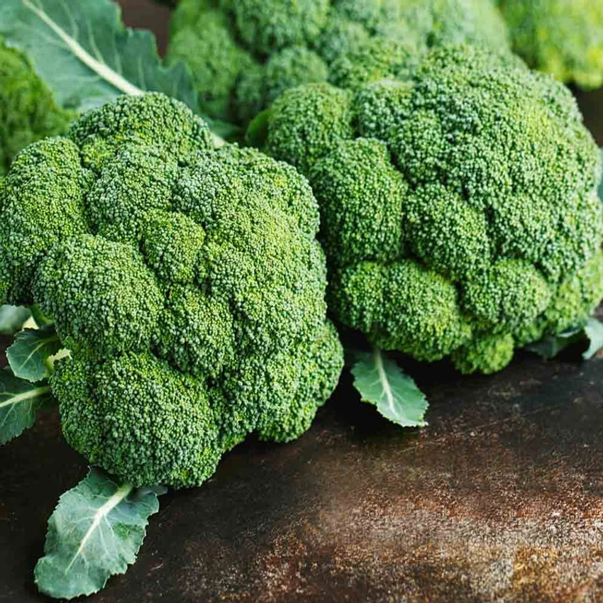 Broccoli seeds f1 hybrid vegetable seed - Image 4