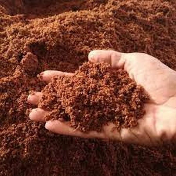 Coco Peat 1kg – Premium Organic Growing Medium for Seed Sowing & Seedlings - Image 3