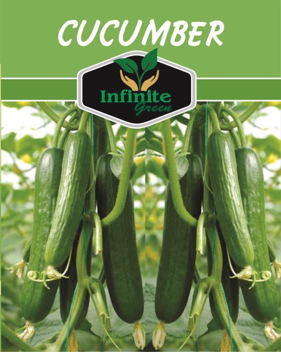 Cucumber (Khera) Seeds