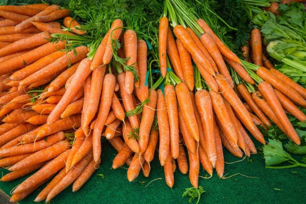 carrot, turnip, vegetables, yellow beets, soup greens, vegan, market fresh vegetables, vegetable plants, bio, carrot, carrot, carrot, carrot, carrot