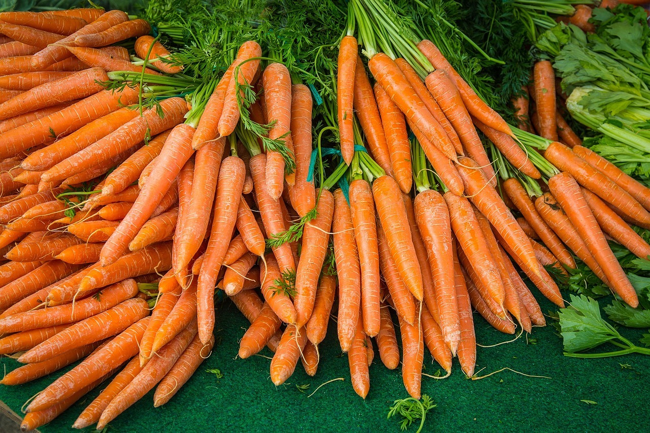 carrot, turnip, vegetables, yellow beets, soup greens, vegan, market fresh vegetables, vegetable plants, bio, carrot, carrot, carrot, carrot, carrot