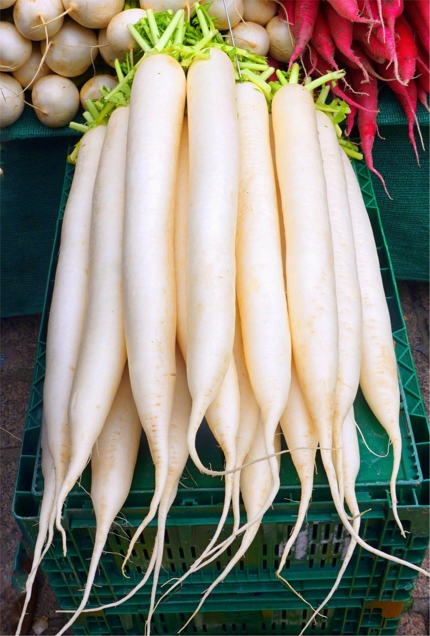 radish, root, vegetables, market, food, healthy, radish, radish, radish, radish, radish