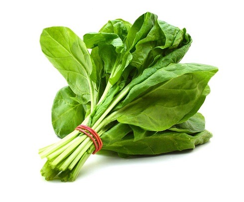 Lahori Spinach (Palak) vegetable seeds
