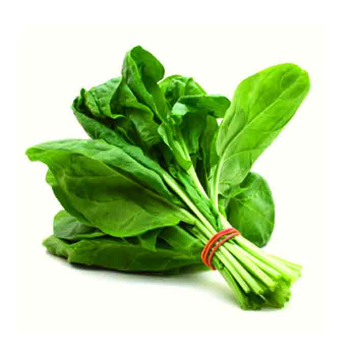 Lahori Spinach (Palak) vegetable seeds - Image 4