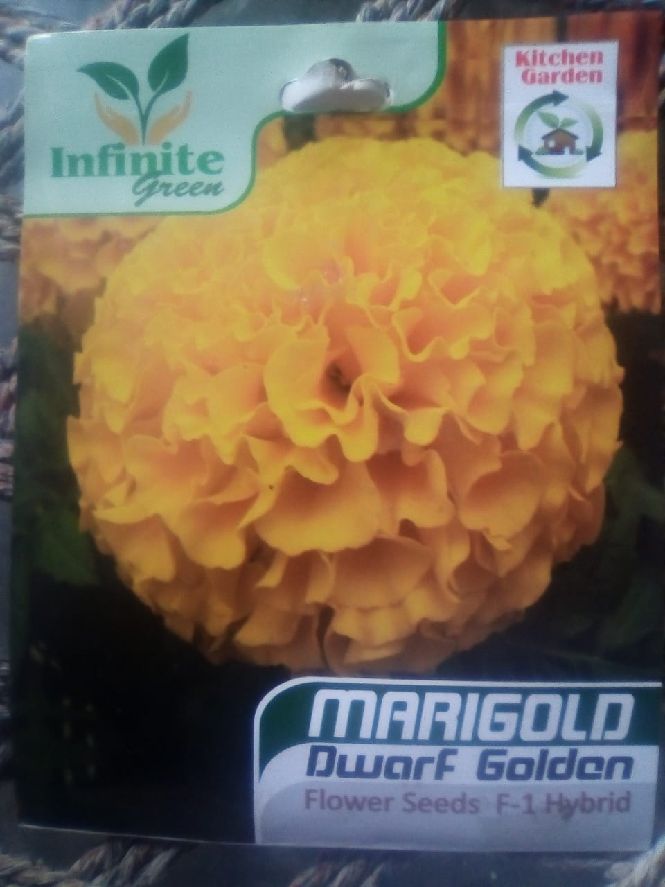 Marigold Dwarf Golden F-1 Hybrid Flower seeds