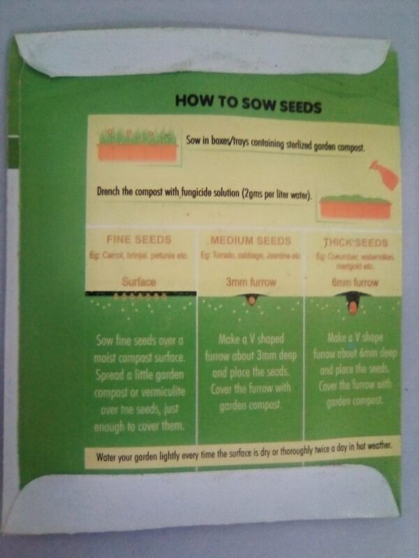 ONION SWAT ONE SEEDS TOP QUALITY SEEDS - Image 3