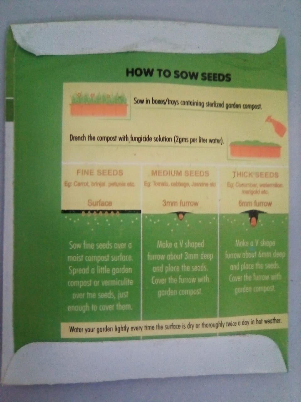 ONION SWAT ONE SEEDS TOP QUALITY SEEDS - Image 3