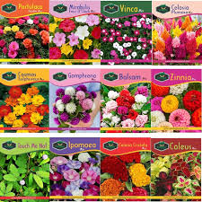 Pack of 10 Random Summer Flowers Seeds