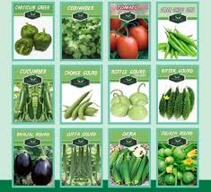 Pack of 12 Summer Vegetables seeds with Free Gift