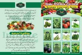 Pack of 12 Summer Vegetables seeds with Free Gift - Image 2