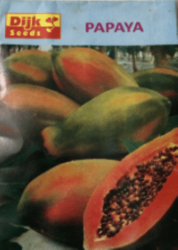 PAPAYA Fruits Seeds Pack 100% Germination