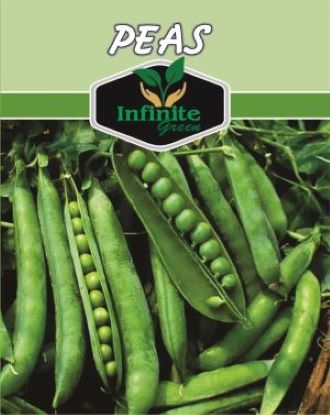 Peas Winter Vegetable Seeds