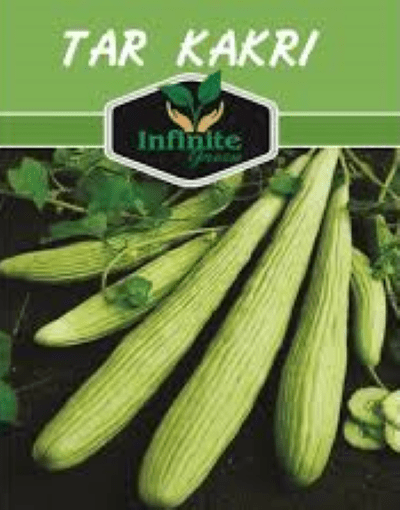 Tar / Kakri Armenian Cucumber Seeds - Kitchen Gardening Vegetable Seeds