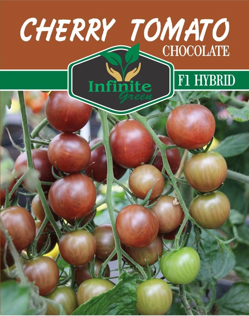 Cherry Tomato Chocolate F1 Hybrid Seed