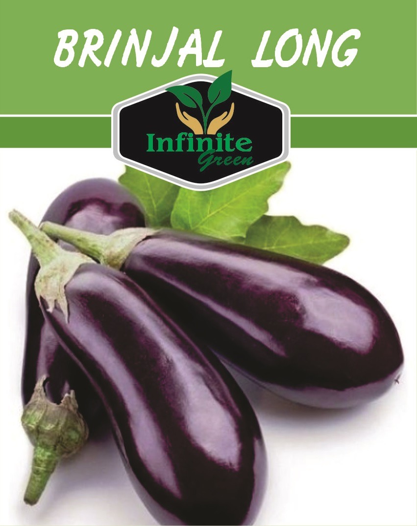 Brinjal Long Desi Eggplant Vegetable Seeds