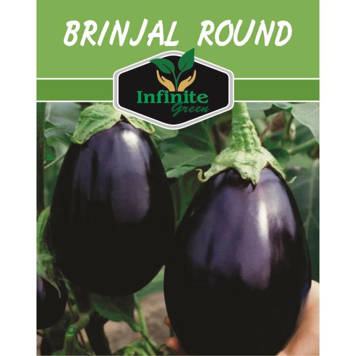 Round Brinjal (Eggplant) Desi Summer Vegetable Seeds