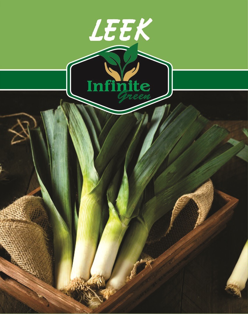 Leek Herb Seeds – Premium Vegetable Seeds for Kitchen Gardening