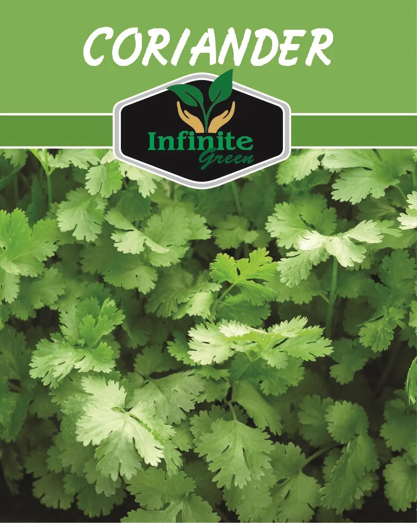 Buy hybrid coriander seeds online Pakistan GrowPlants.pk