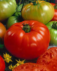 Premium Summer Vegetable Seeds for Home Gardening