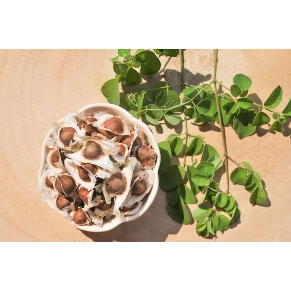 Organic Moringa Oleifera Seeds (25 Seeds)